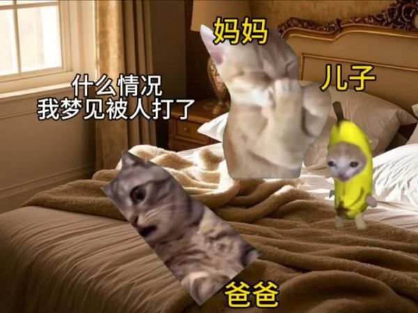 梦到和爸爸动手打架_是什么预兆