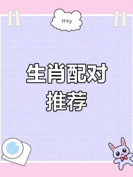 属猪合伙属相_属猪和什么属相合作最旺