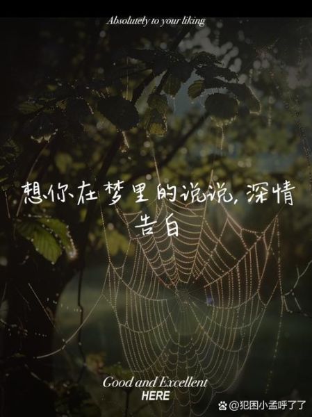 梦到被表白是什么意思_如何解读梦境中的告白
