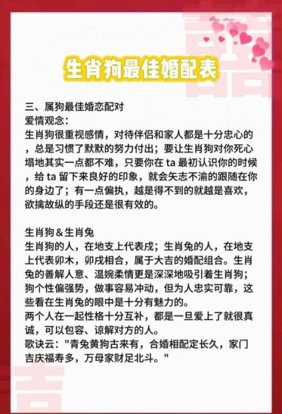 男狗配什么属相_属狗男最佳婚配属相