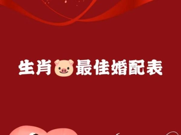 属猪夫妻生什么属相好_属猪生什么宝宝最旺