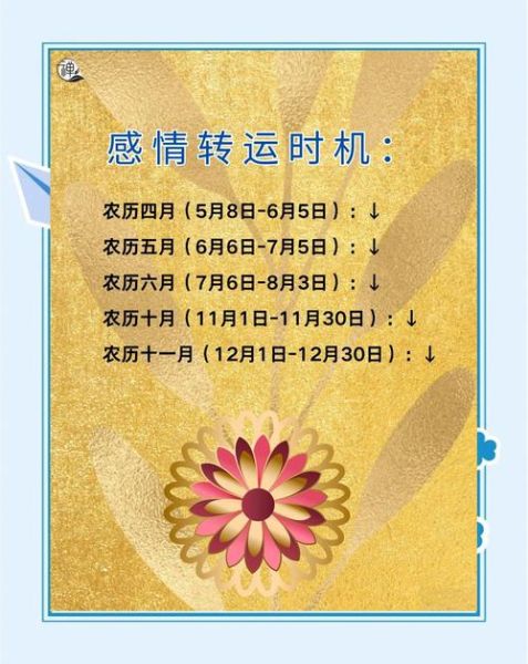 1972年属鼠人2024年运势_2024年属鼠人财运如何