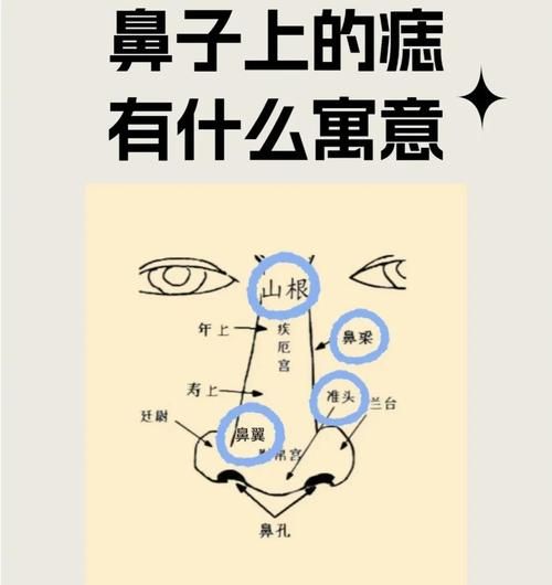 鼻子真的能决定财运吗_面相鼻子与财富关系解析