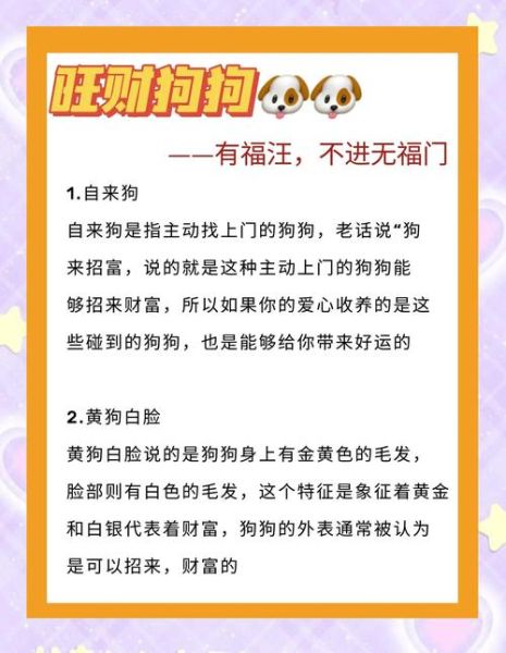 饭店养狗财运_饭店养狗风水禁忌