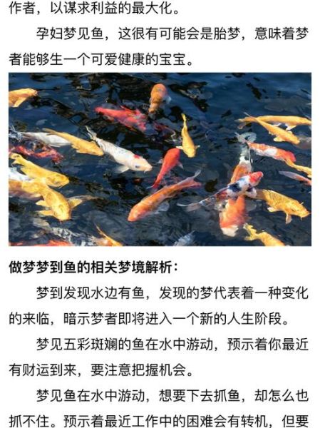 孕妇梦到抓了好多鱼_胎梦寓意解析
