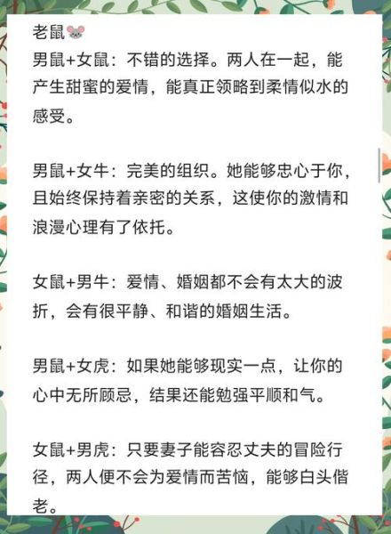 属兔和属鼠的姻缘怎么样_属相兔鼠婚配好吗