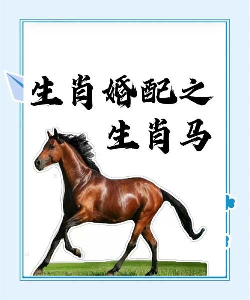 马宜配属相_属马最佳婚配生肖