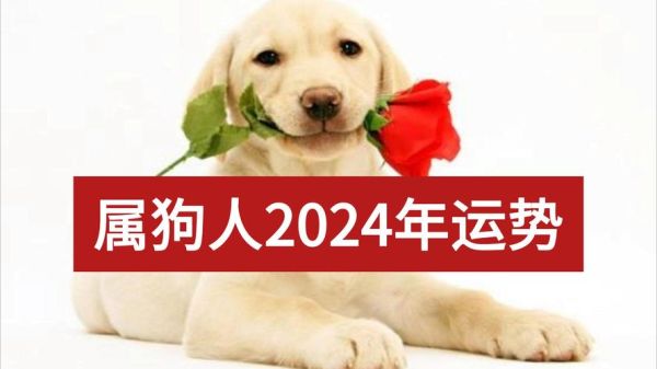 1958年属狗今年财运如何_2024年财富走势