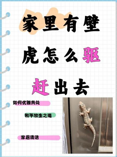 梦到壁虎是什么意思_壁虎爬墙梦境解析
