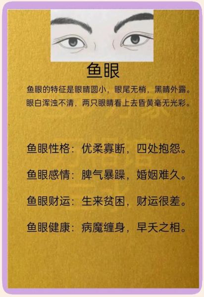 眼睛财运_眼睛形状与财运关系