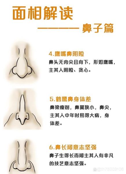 财运旺的鼻子长什么样_如何通过鼻子提升财运