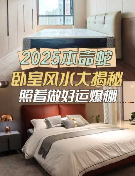 属蛇财运方位在哪_属蛇人如何布局招财