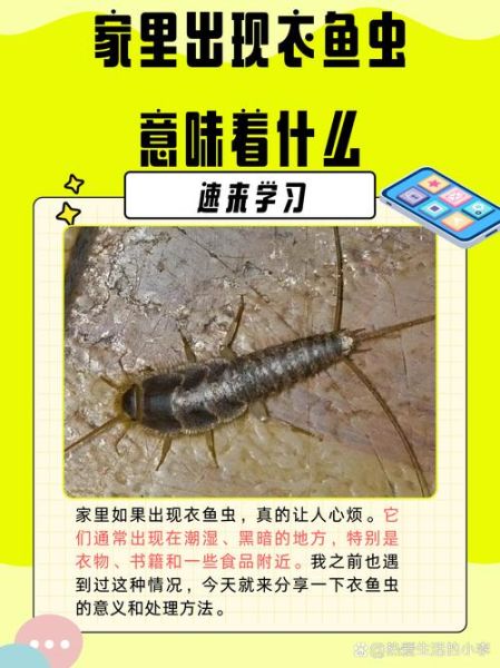 梦到虫子飞是什么意思_梦见虫子飞进家里预示什么