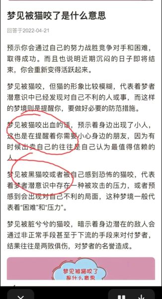 梦到养猫是什么意思_梦见养猫好不好