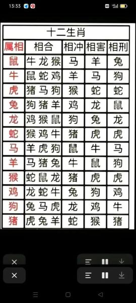 属龙和什么属相相冲_龙与哪些生肖不合