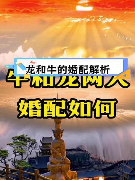 属牛女和属龙男合不合_能过一辈子吗