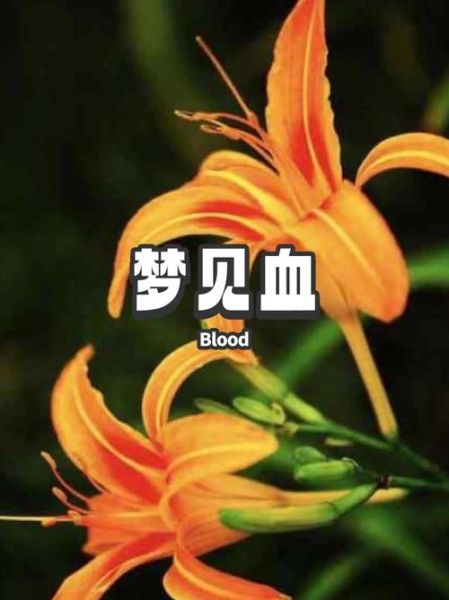梦到手上沾了别人的血_周公解梦