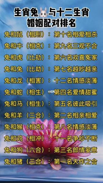 男生属鼠最佳配偶属相_属鼠男和什么属相最配