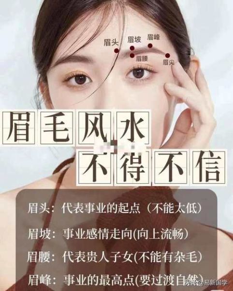 眉毛看财运准吗_如何通过眉毛提升财运