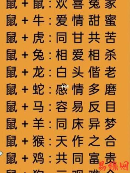 属鼠配什么属相好_属鼠和什么生肖最合
