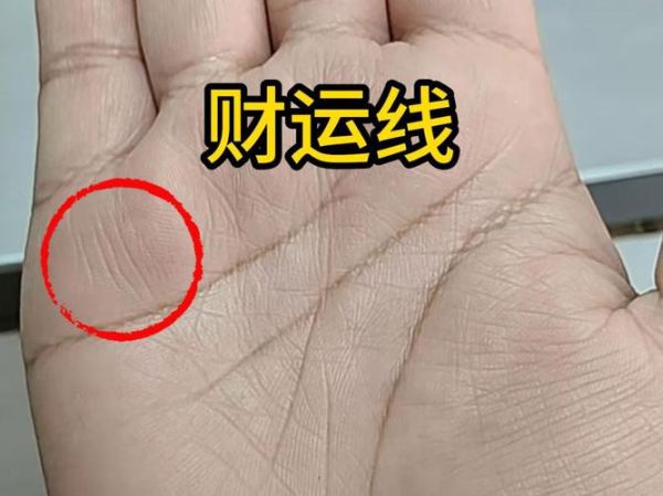 财运线分叉图解_财运线分叉代表什么