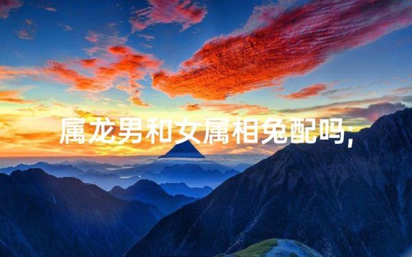 男属兔女属龙相配吗_男兔女龙婚姻能长久吗