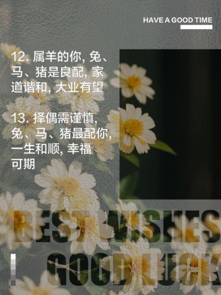 羊和什么属相最配_属羊婚配宜忌