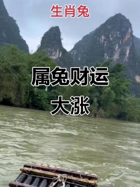 2015属兔11月运势_2015年11月属兔人财运如何