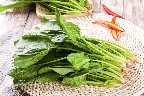 梦到菠菜是什么意思_菠菜梦境解析