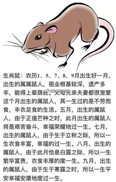 1962年属什么生肖_1962年农历出生运势