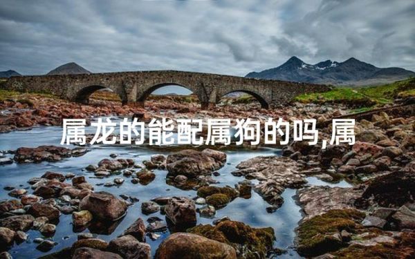 狗和龙相冲吗_狗和什么属相不合