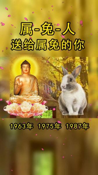 75年兔一生运势如何_75年属兔人晚年运势