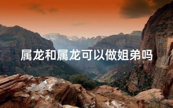 属龙和属龙能在一起吗_龙龙配对婚姻运势