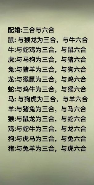 属鼠和属牛最合吗_属相配对真的准吗