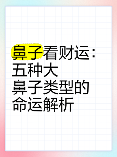 鼻梁高的人财运好是真的吗_面相学解析
