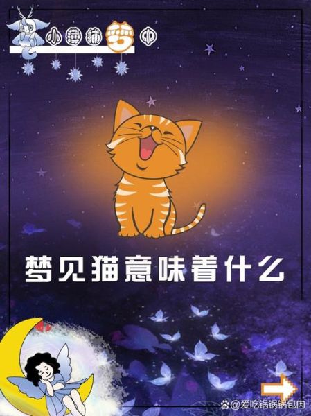 梦到家里来了好多猫_是什么意思