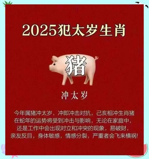 猪冲属相是什么意思_猪冲属相怎么化解