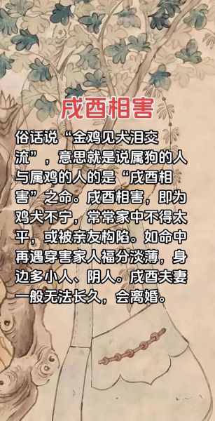 鸡和狗哪个属相好_属鸡和属狗的婚姻合不合