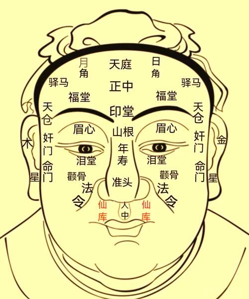 男人什么面相有财运_男人财运好的面相特征