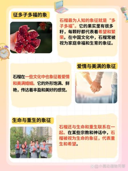 梦到种石榴是什么意思_种石榴的寓意与解析
