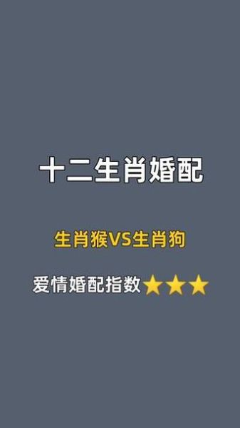 属猴男和属狗女相配吗_能过一辈子吗