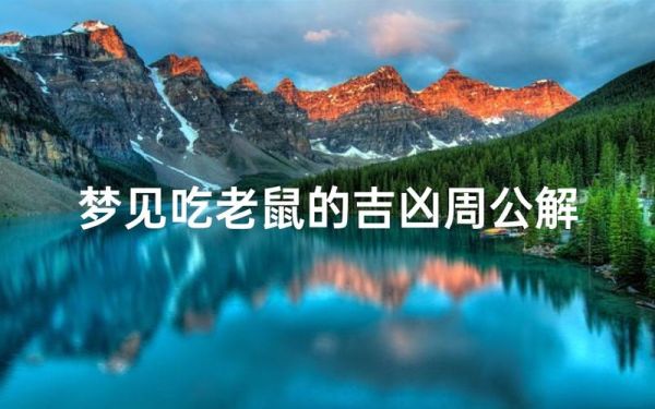 梦到老鼠咬人是什么意思_梦见老鼠咬自己预示什么