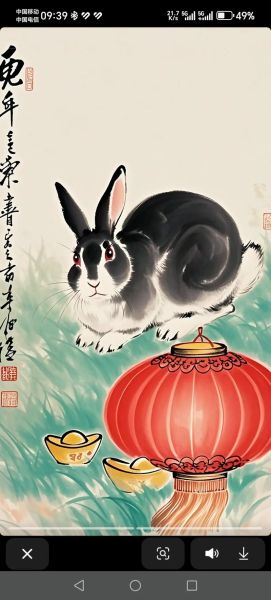 75年属兔2024年运势如何_75年属兔财运怎么样