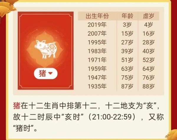 猪属相哪年_猪年出生年份对照表