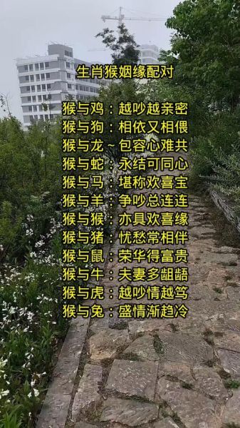 属猴和哪个属相最配_属猴最佳婚配属相