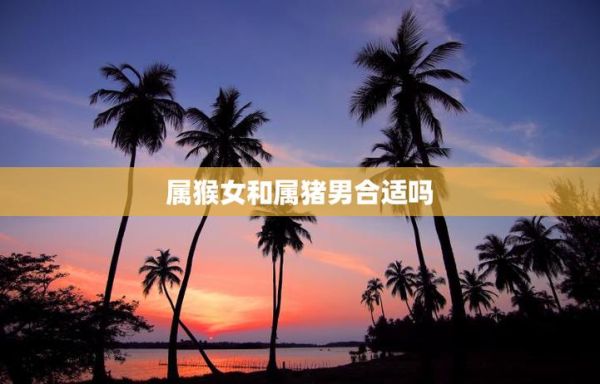 猪和猴子属相合不合_婚姻财运如何