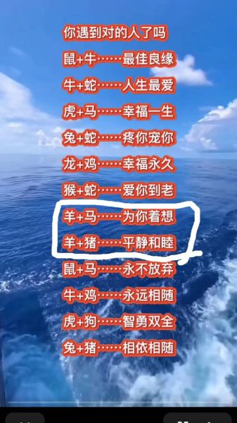 属马和属猪的婚姻合不合_属马和属猪能过一辈子吗