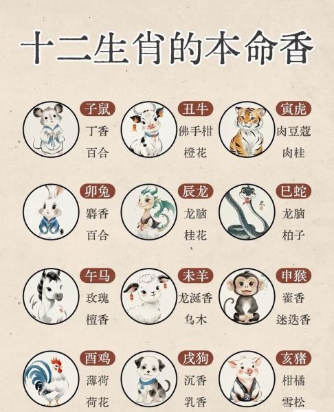 2008年立春属相是什么_立春后出生属什么