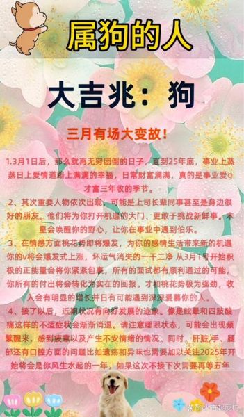 生肖狗搭档财运_属狗人跟谁合作最旺