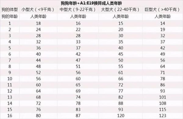 比狗大一岁是什么属相_属狗年龄对照表